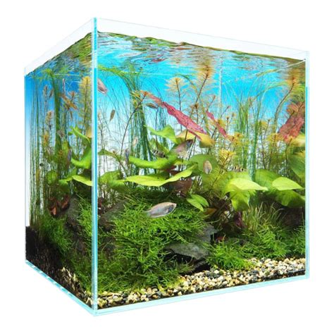 ada aquascape|ada rimless aquarium.